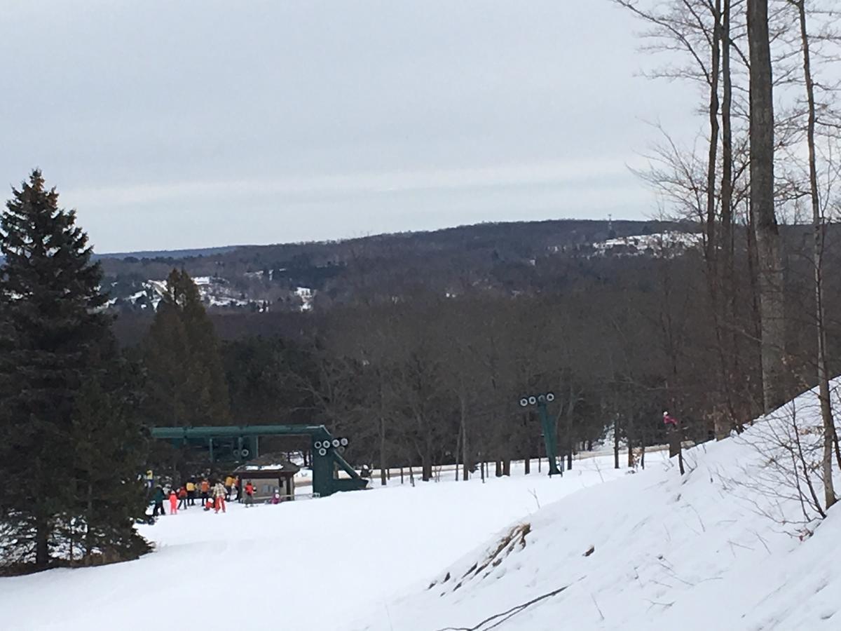 Villa Boyne Mountain à Boyne Falls Extérieur photo